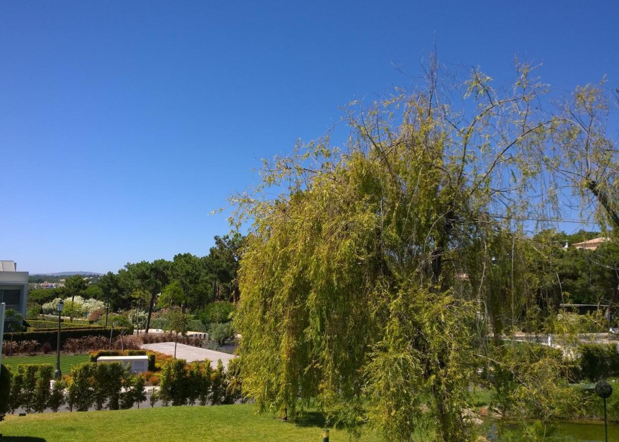 קינטה דו לאגו Grey Heron Apartment מראה חיצוני תמונה